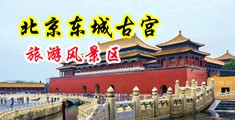 免费操逼破处片中国北京-东城古宫旅游风景区