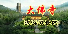 把鸡巴插入你的骚逼视频中国浙江-新昌大佛寺旅游风景区